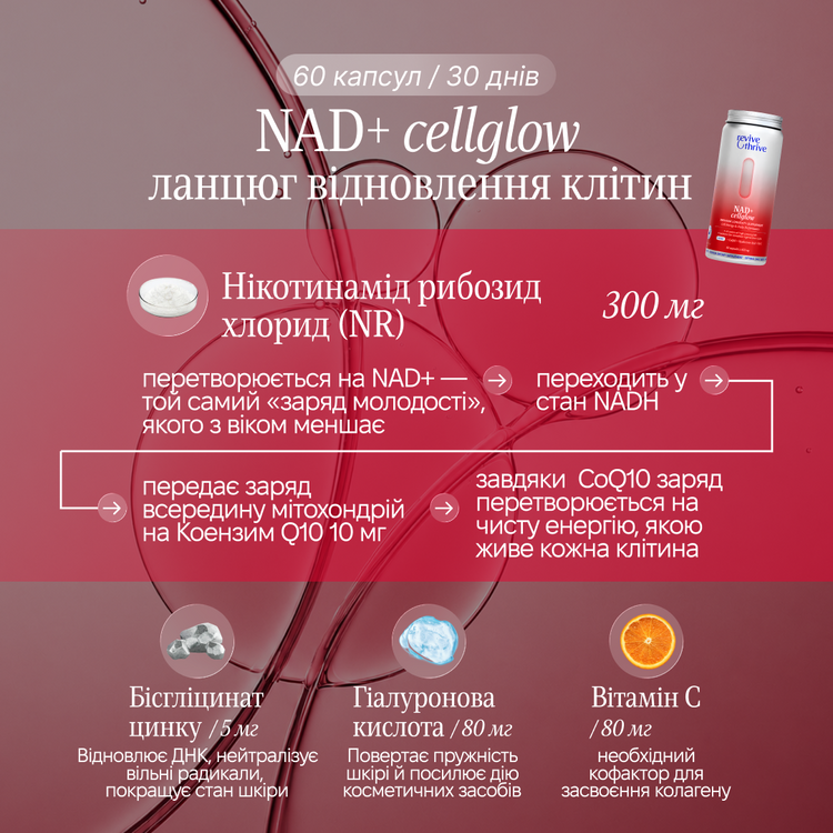 Набір  “Longevity+”