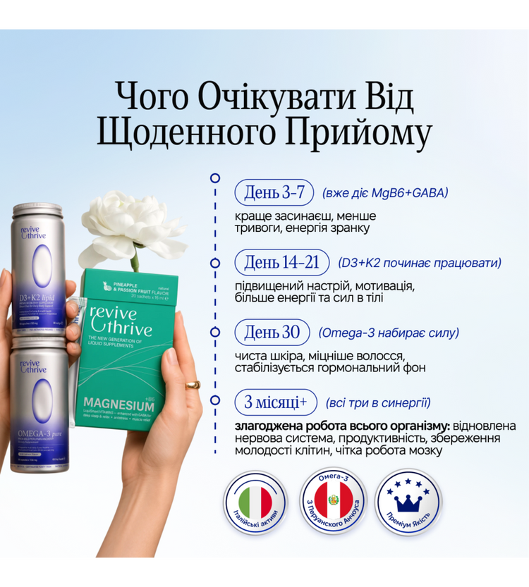 Набір «Щоденна База»