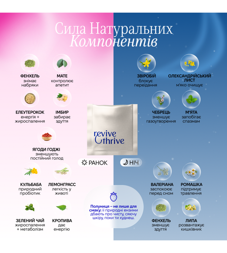 Фітопрограма TEATOX Slim: Morning&Night